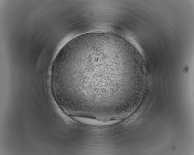 X0000091231099200708161711