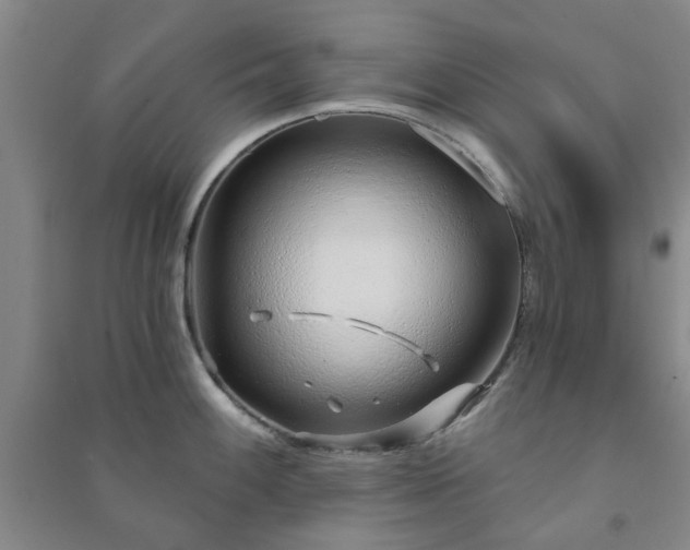 X0000091231100200708161711