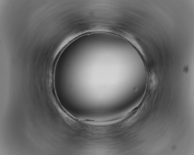 X0000091231101200708161711
