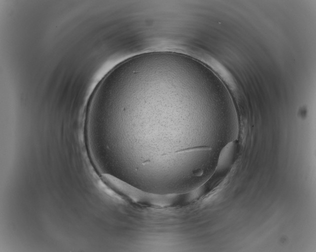 X0000091231102200708161711