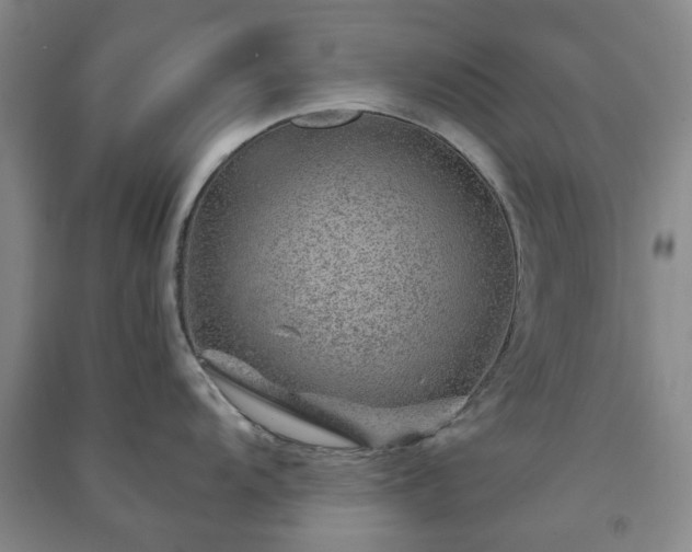 X0000091231104200708161711