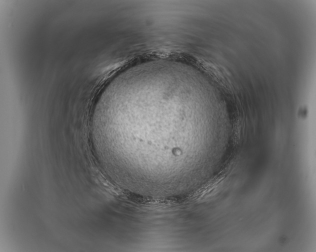 X0000091231105200708161711