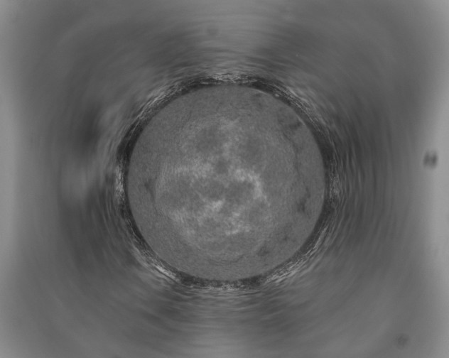 X0000091231106200708161711