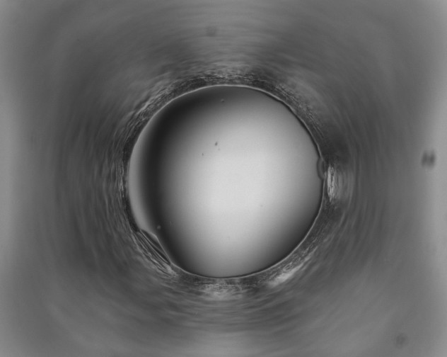 X0000091231107200708161711