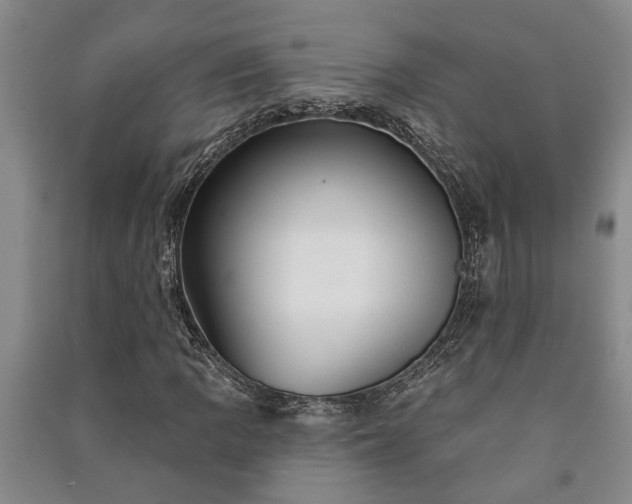 X0000091231109200708161711