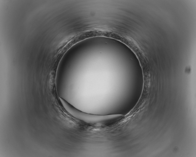 X0000091231110200708161711