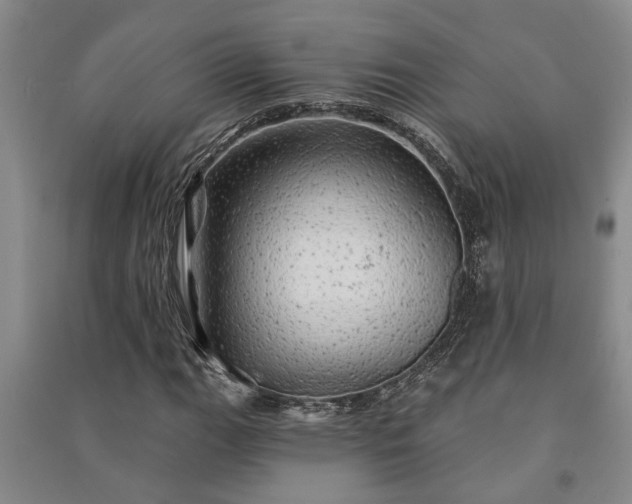 X0000091231111200708161711