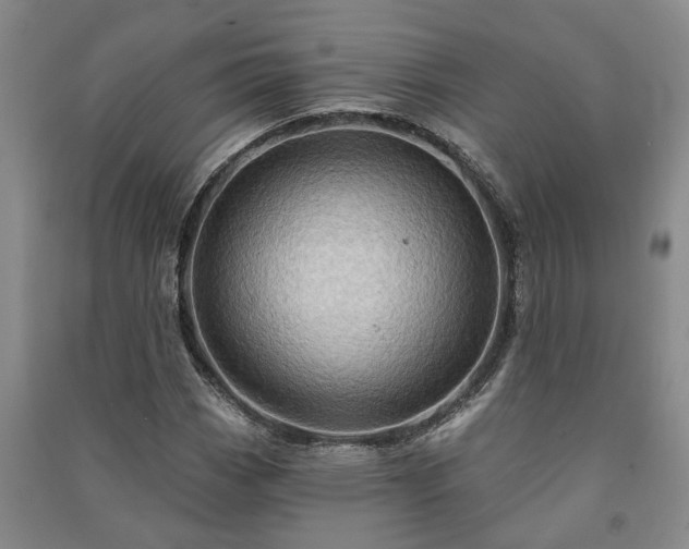 X0000091231113200708161711