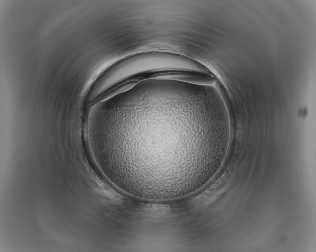 X0000091231115200708161711