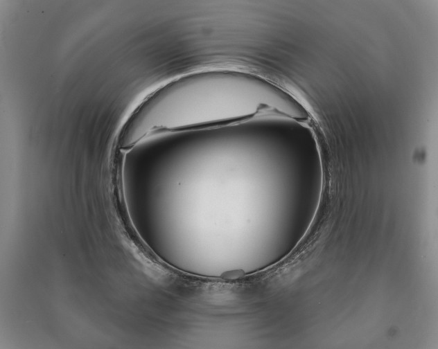 X0000091231116200708161711