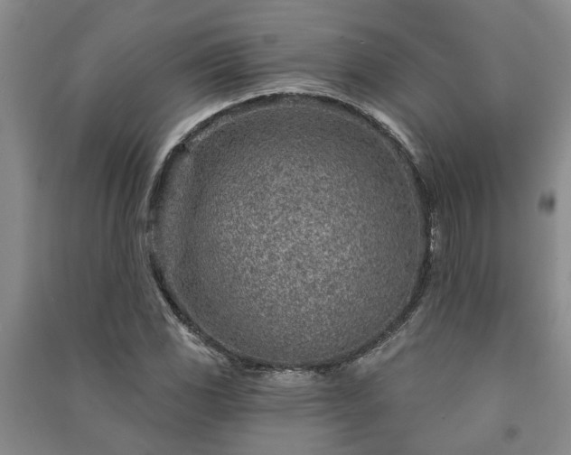 X0000091231117200708161711