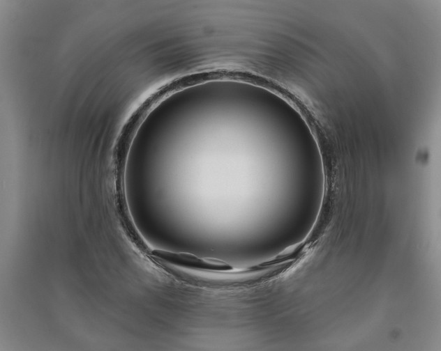 X0000091231118200708161711