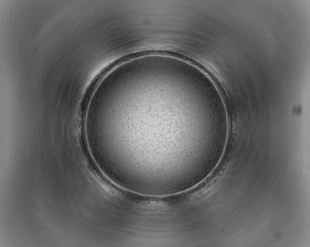 X0000091231119200708161711