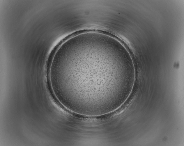 X0000091231120200708161711