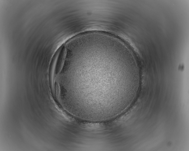 X0000091231121200708161711