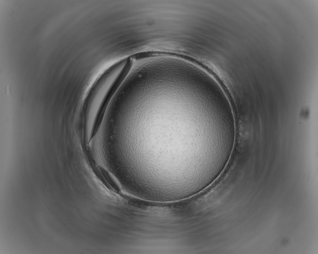 X0000091231123200708161711
