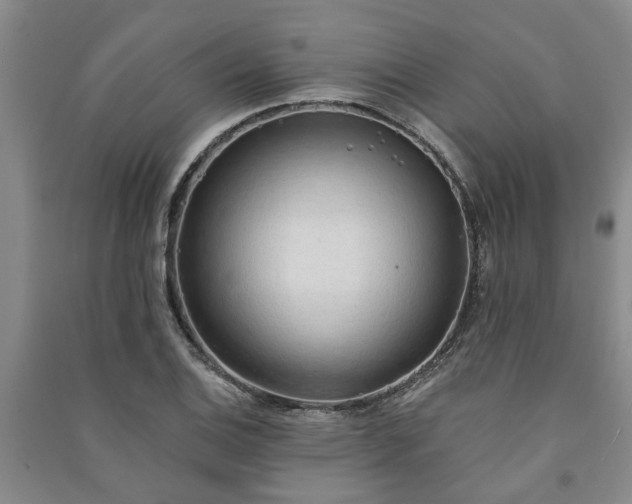 X0000091231124200708161711