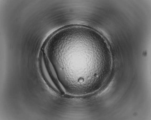 X0000091231125200708161711