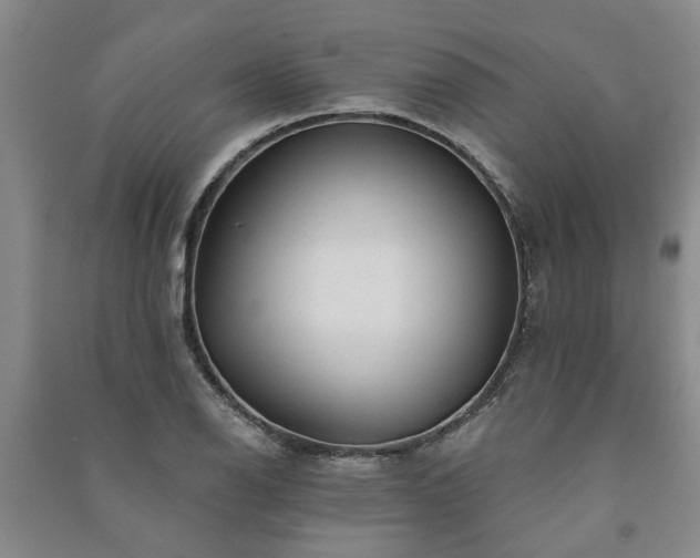 X0000091231126200708161711