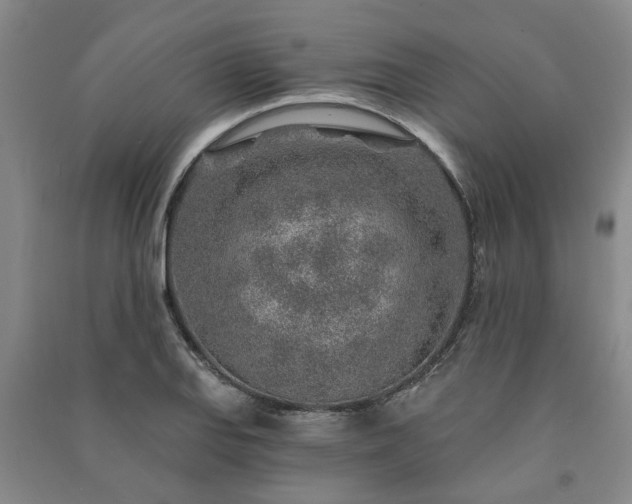 X0000091231127200708161711