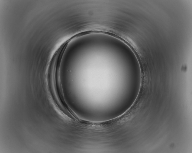 X0000091231128200708161711