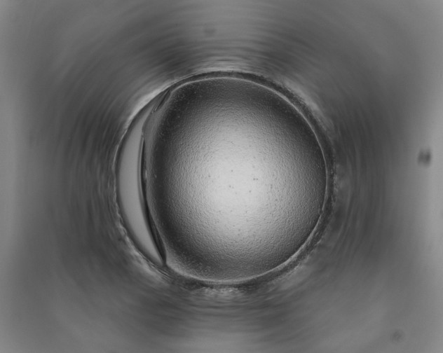 X0000091231129200708161711