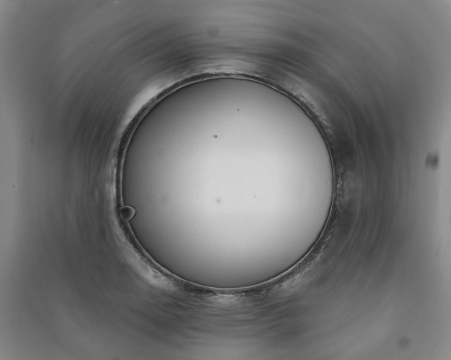 X0000091231130200708161711