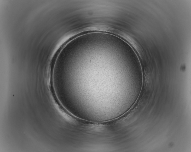 X0000091231131200708161711