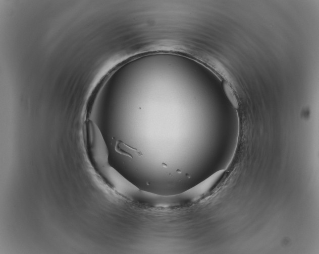 X0000091231132200708161711