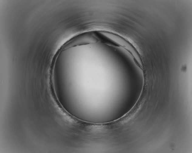 X0000091231134200708161711