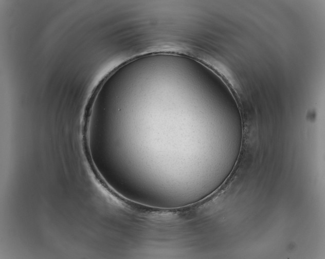 X0000091231135200708161711