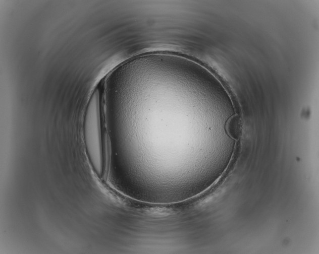 X0000091231137200708161711