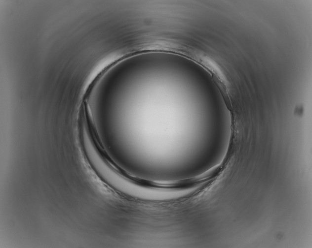 X0000091231138200708161711