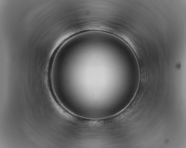 X0000091231139200708161711