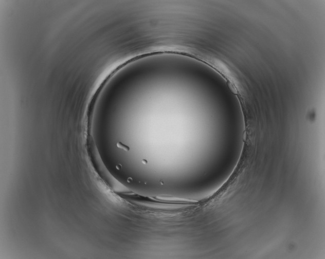 X0000091231140200708161711