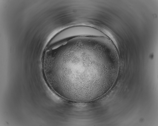 X0000091231141200708161711