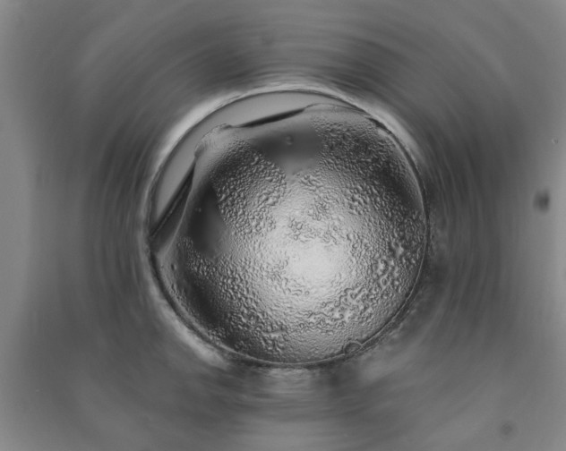 X0000091231142200708161711