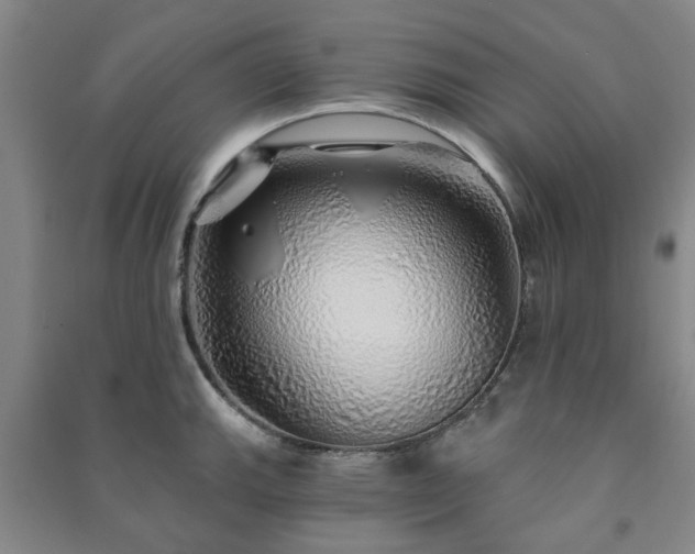 X0000091231143200708161711