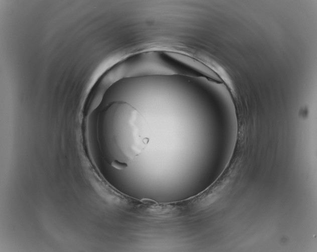 X0000091231146200708161711