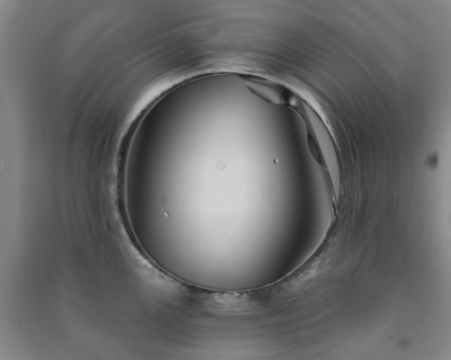 X0000091231147200708161711