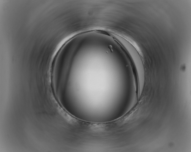 X0000091231148200708161711
