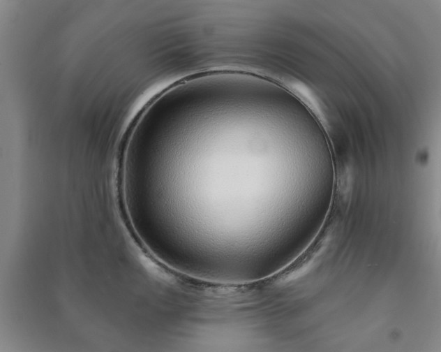 X0000091231149200708161711