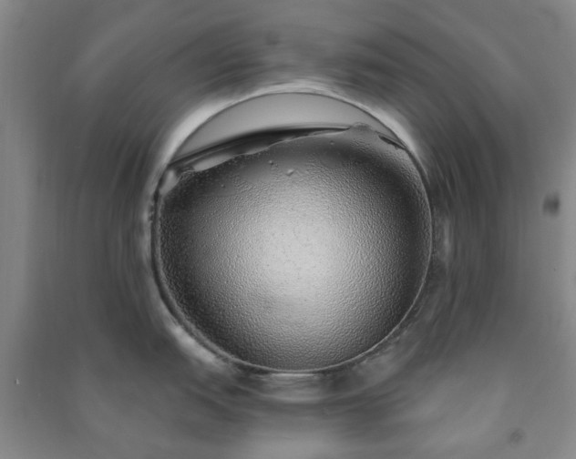 X0000091231151200708161711