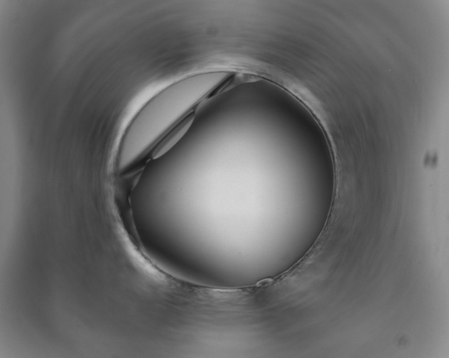 X0000091231152200708161711