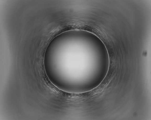 X0000091231153200708161711