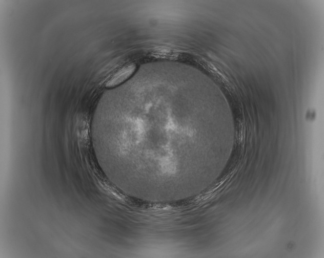 X0000091231154200708161711