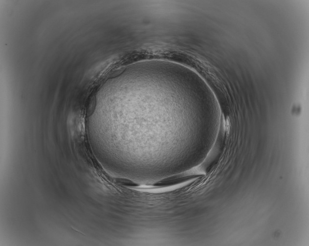 X0000091231155200708161711