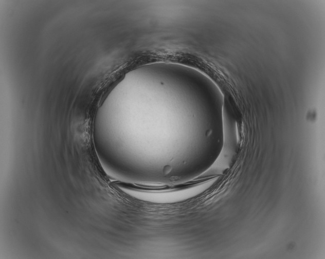 X0000091231156200708161711
