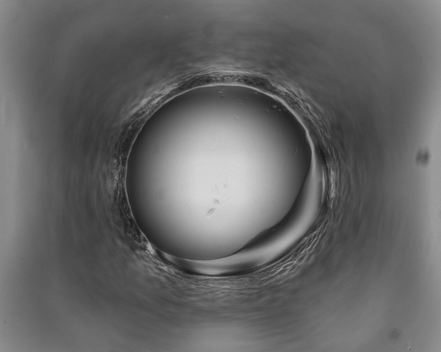 X0000091231157200708161711