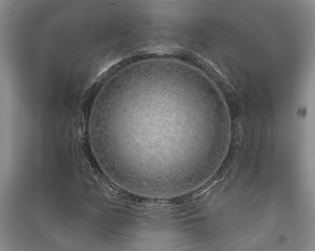 X0000091231158200708161711